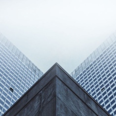 Правовая форма совместных евразийских компаний. Утверждение структуры